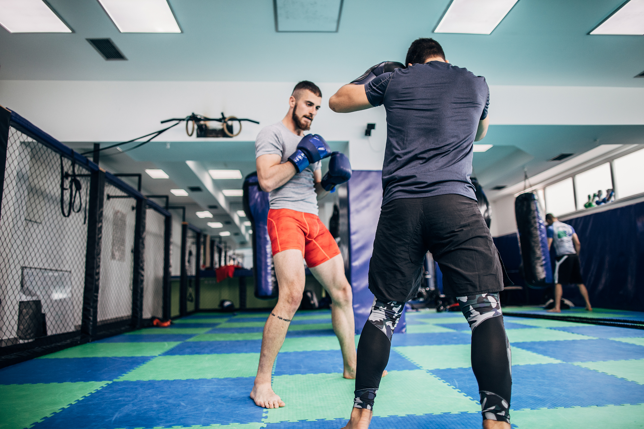 古巴拳击选手实力非凡，一统江湖！的简单介绍