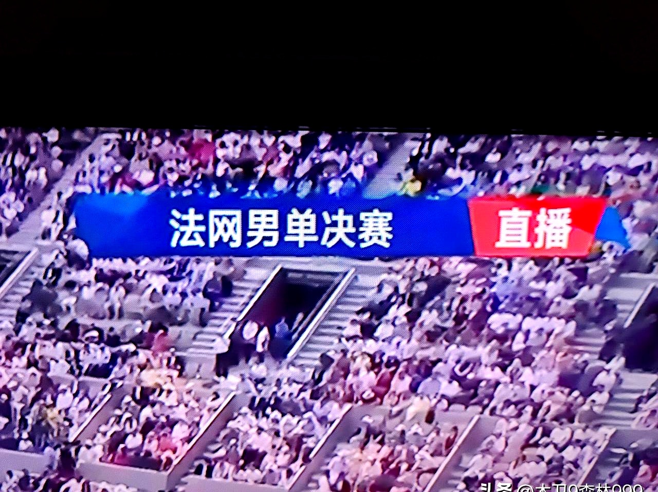包含意大利网球队翻盘法国网球队，阿尔卡拉斯统治全场的词条