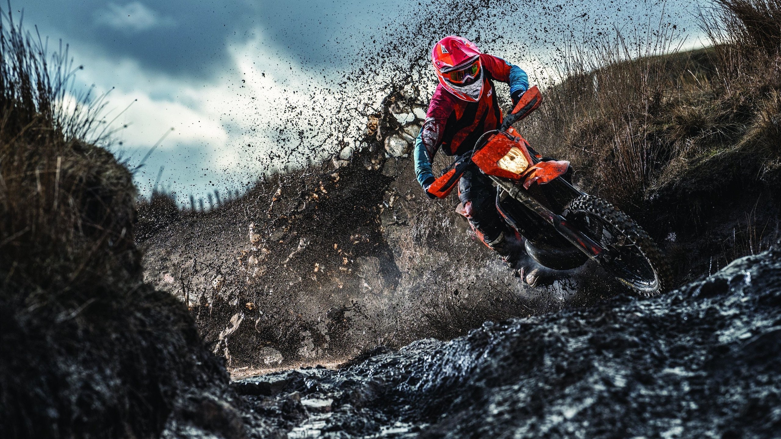 若日尼奥掌控全场，厄瓜多尔速胜爱尔兰背后的战术密码